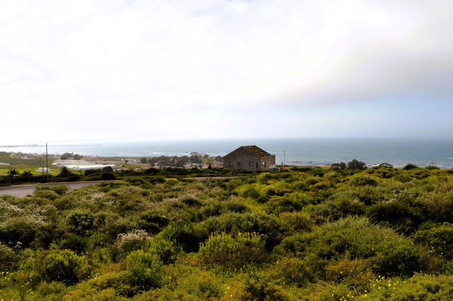0 Bedroom Property for Sale in Steenbergs Cove Western Cape